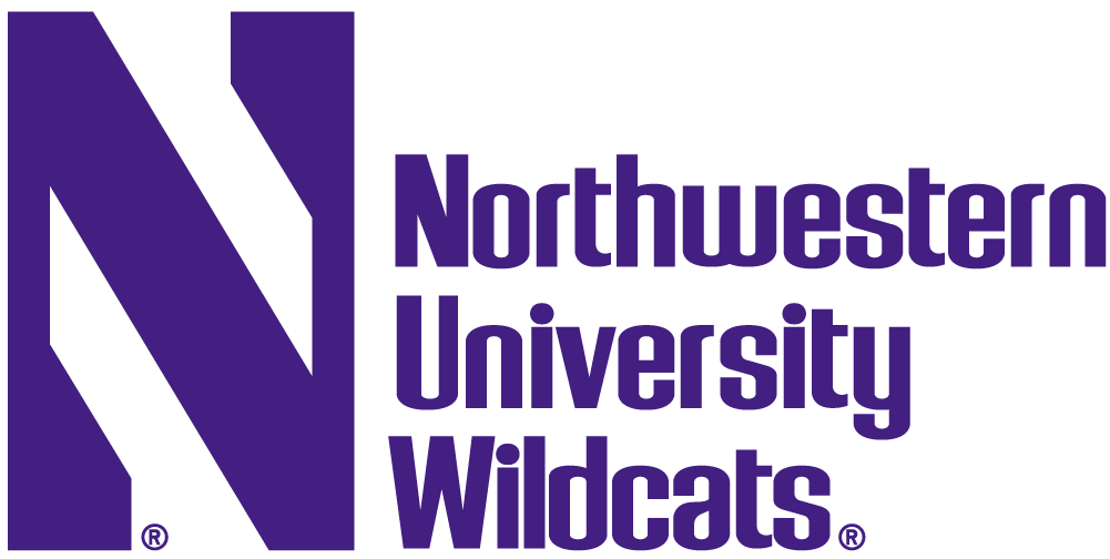 Northwestern Wildcats 1981-Pres Wordmark Logo 03 iron on paper